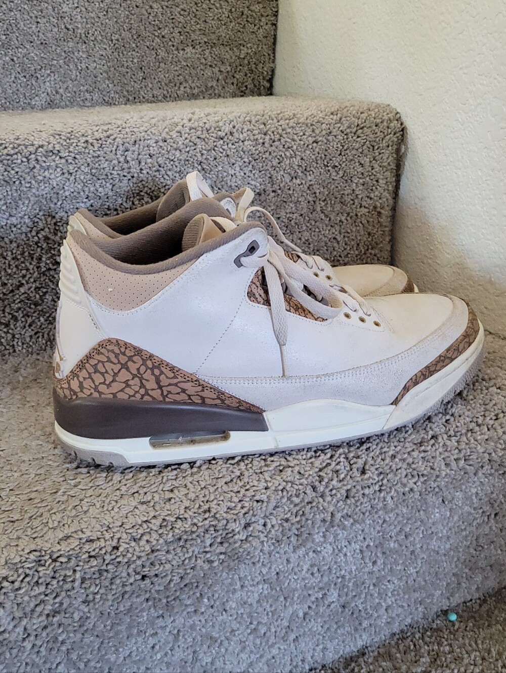 Air Jordan 3 Retro Sneakers Size 12